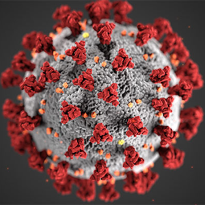 Detox therapy in Chicago using EBOO for post-viral inflammation