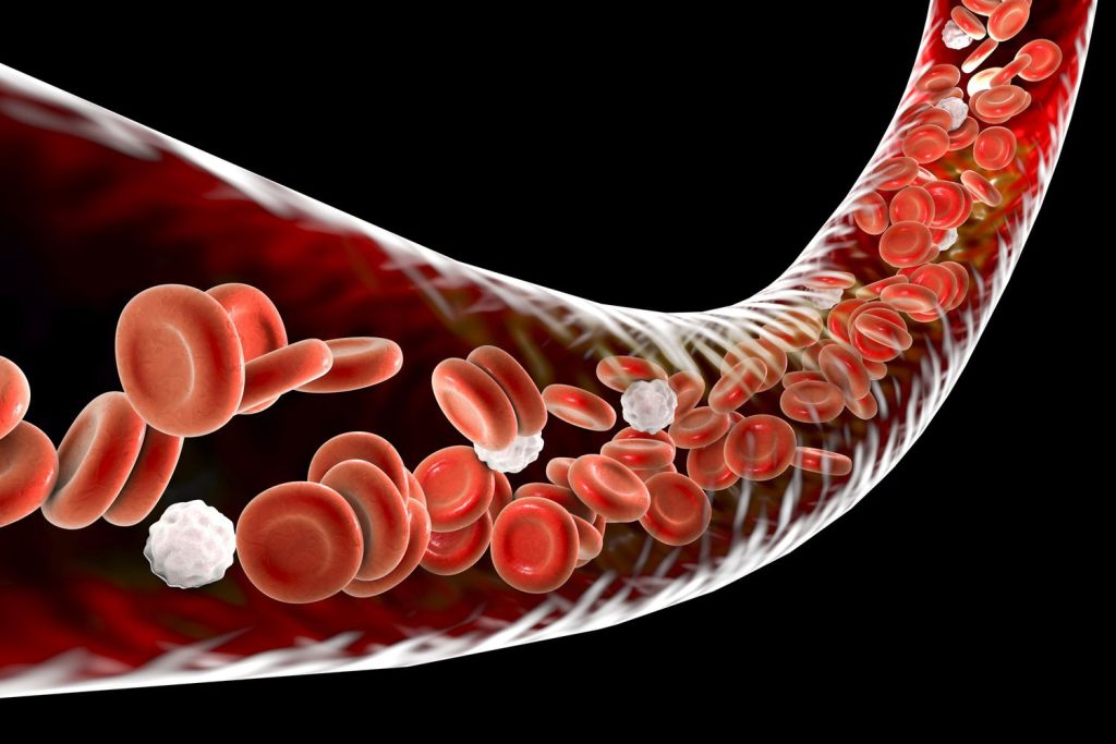 Plasma exchange therapy in Chicago at Bliss MD — red blood cells in circulation showing what TPE therapy detoxifies at the cellular level