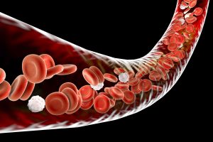 Plasma exchange therapy in Chicago at Bliss MD — red blood cells in circulation showing what TPE therapy detoxifies at the cellular level
