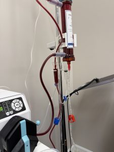 EBOO therapy in active treatment session at Bliss MD — single-use sterile filter, blood filtration column, peristaltic pump, and closed sterile circuit performing authentic Extracorporeal Blood Oxygenation and Ozonation for an Oak Brook patient under Dr. Anand Thakkar MD's supervision